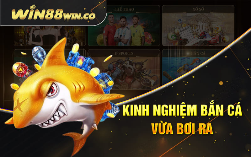 Kinh Nghiệm Bắn Cá Online Hiệu Quả #1 Cho Ngư Thủ Win88 2 Kinh nghiệm bắn cá vừa bơi ra