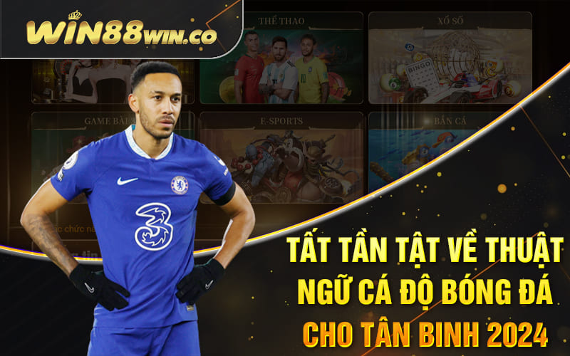 Cá Độ Bóng Đá Win88 - Tất Tần Tật Từ Nhập Môn Đến Cao Thủ 3 Tất tần tật về thuật ngữ cá độ bóng đá cho tân binh 2024
